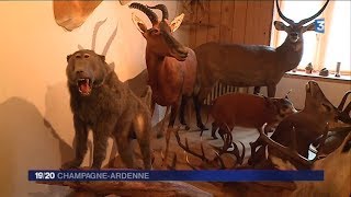 Portrait de Laurent Thevenez taxidermiste en HauteMarne [upl. by Lynnworth]