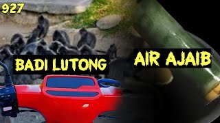 BADI LUTONG AIR AJAIB [upl. by Lannie]