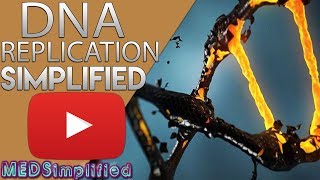 DNA Replication Made Easy [upl. by Yelahs]