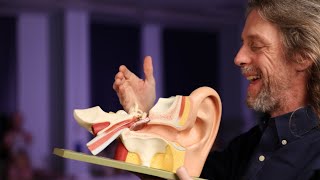 Acoustic reflex anatomy middle ear muscle reflex stapedial reflex [upl. by Darbee]