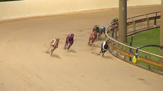 Rockhampton06112024Race5 [upl. by Buchbinder]