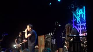 NAPALM DEATH  Backlash Just Because  LIVE  Heidelberg Germany  2024 [upl. by Misti]