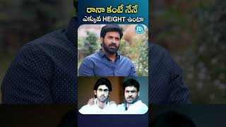 రానా కంటే నేనే ఎక్కువ HEIGHT ఉంటా subbaraju rana  iDream Chittoor [upl. by Nitza]