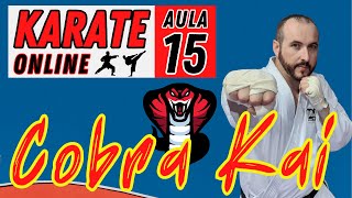 KARATE ONLINE  AULA 15  TREINO COBRA KAI [upl. by Hennahane]