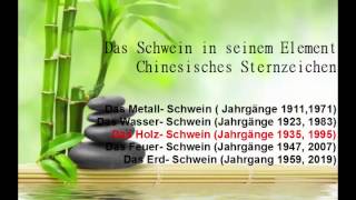 Chinesisches Sternzeichen das Schwein und seine Elemente Chinesisches Horoskop [upl. by Avah]