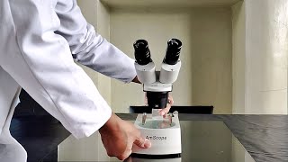 How to use a Stereoscopic Binocular Microscope [upl. by Quiteris]