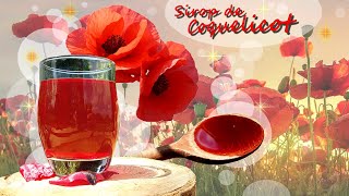 🌷Comment faire son sirop de Coquelicot  🍸 [upl. by Yruj498]