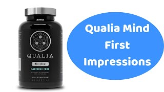 Qualia Mind Does It Work  First Time Day Taking It [upl. by Blinnie74]