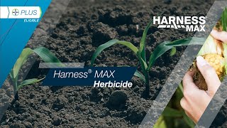 Harness® MAX Herbicide [upl. by Marlin]