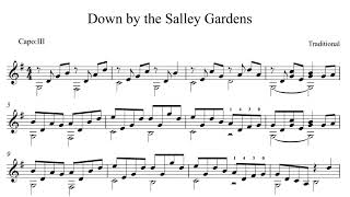 Down by the Salley Gardens  Traditional Irish Song  Score Video [upl. by Carin]