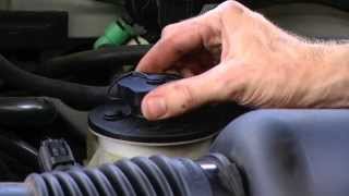 How to Check Power Steering Fluid [upl. by Zack]