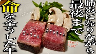 人気イタリア料理人による熊本の魂の和牛、怒涛のフルコース！「一人でも多くの料理人、食べ手に伝わりますように」【菊池源吾牛】【commedia】【イタリアン㉜】 [upl. by Ardnuat]