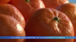 LE CLEMENTINE IGP CONQUISTANO TV E CINEMA [upl. by Shien]