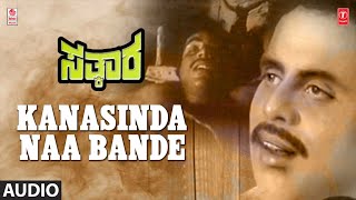 Kanasinda Naa Bande Song  Sathkaara Movie  AmbarishAmbika  Sathyam  KV Reddy  Kannada Songs [upl. by Etty]