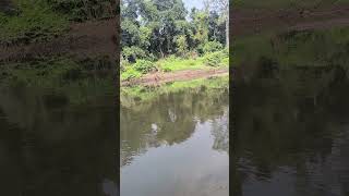 Subarnarekha river Halmad Ranchi Jharkhand Indiajharkhand river shorts video youtubeshorts [upl. by Vickie986]