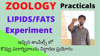 LipidsFats Experiment  Inter Zoology Practicals శాంపిల్స్ లో కొవ్వు పదార్థాలను నిర్ధారణ ప్రయోగం [upl. by Krystle]