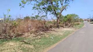 fim de semana de promoção é no açougue Goiás na avenida tranquedo Neves em Presidente Dutra Maranhão [upl. by Eceinart]