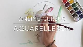 Online cursus leren Aquarelleren en schilderen voor beginners Lida Meines hoe maak ik een aquarel [upl. by Ellac426]