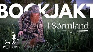 Bockjakt i viltrika Sörmland Bockjakt 2024 [upl. by Boleyn737]