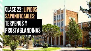 Lípidos Insaponificables Terpenos y Prostaglandinas [upl. by Wickman]