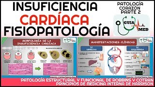 INSUFICIENCIA CARDÍACA FISIOPATOLOGÍA  GuiaMed [upl. by Ahsekal]