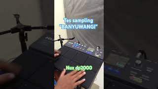 Sampling banyuwangi nux dp2000 samplingdtx nuxdp2000 sampling [upl. by Ekusuy]