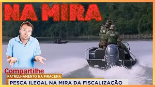 CUIDADO  PIRACEMA PESCA ILEGAL E FISCALIZAÇÃO [upl. by Petrick]