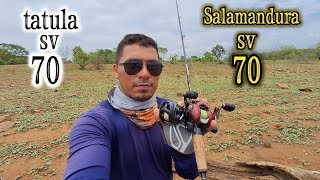 Tatula sv 70 vs salamandura sv 70 [upl. by Osnerol]