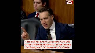 Dangers Of Chinese AI Hawley I Hope That Every Corporate CEO Will Listen billions invested China [upl. by Anelis]