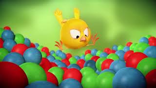 Wheres Chicky Funny Chicky 2021  THE BLUNDER  Chicky Cartoon in English for Kids [upl. by Biernat501]