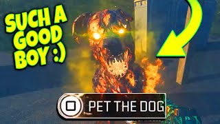 How to get a POWERFUL HELLHOUND PET Doghouse Locations MW3 Zombies [upl. by Hareehat]