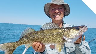 How to catch walleye while jigging [upl. by Wynnie395]