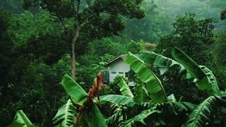 15MIN Unguided Meditation with Soft Rain In The Background [upl. by Nanis]