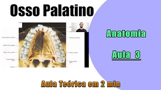 Osso Palatino  Teórica Aula 3  Anatomia  Anatomia Humana [upl. by Saied]