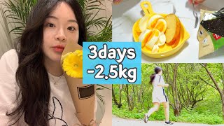 Diet｜🔥3일동안 25kg 감량 다이어트 ｜올해 최저 몸무게 달성 [upl. by Pihc481]