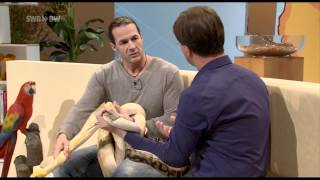 ReptilTV  Special  Tiere der Woche wwwSWRde [upl. by Nyrrek]