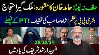 PTI Decision Protests Across County  Bushra Bibi Case  Imran Riaz Khan VLOG [upl. by Ycal490]