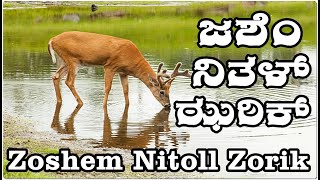 Zoshem Nitoll Zorik [upl. by Nilrah]