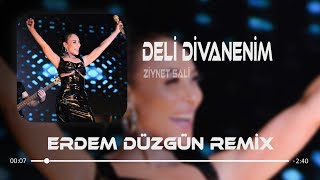 Ziynet Sali  Deli Divanenim  Erdem Düzgün Remix [upl. by Lesab]