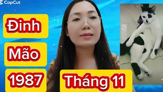 tuoi Đinh Mão SN 1987 Tháng 11 ÂL năm 2024 Nam Nữ [upl. by Elyod]