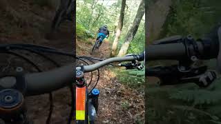 shorts 282  VTT MTB DH ENDURO RIDING [upl. by Spearman43]