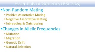 21 Population genetics Hardy Weinberg equilibrium [upl. by Theodor]