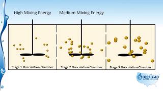 Flocculation [upl. by Luz]