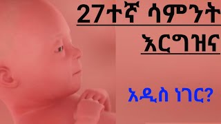 የእርግዝና 27ተኛ ሳምንት እርግዝናweek 27th pregnancyhealth education [upl. by Theo]