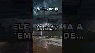 Deus Acalma Qualquer Tempestade  Salmos 10729 [upl. by Cecilius160]