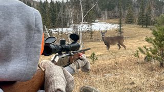 My First Time Public Land Deer Hunting in The Mountains [upl. by Eldon]