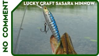 Lucky Craft Sasara Minnow Ловля щуки на воблер из под стенки камыша [upl. by Onairotciv]