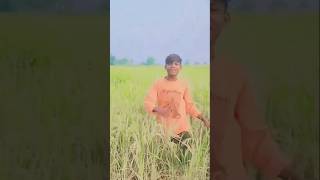 video sona sariy Pari lagelushortsvideo manimeraj dance shorts [upl. by Harak]