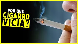 Por que o CIGARRO VICIA [upl. by Cristiano]