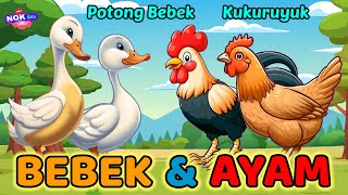 Lagu Anak 🇮🇩 Potong Bebek Angsa  Kukuruyuk Lagu Anak Balita Populer Animasi Bebek Dan Ayam [upl. by Snej934]